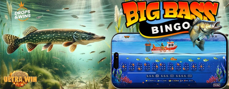 Examen de l'application mobile et de l'univers casino online